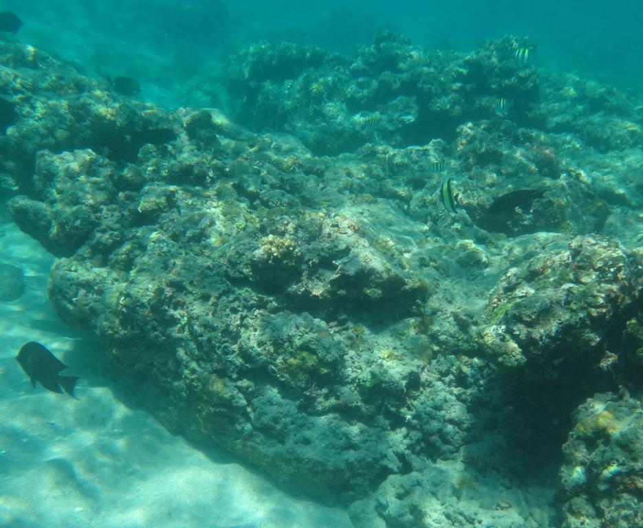 Wera Beach Kadumbul Exteriér fotografie